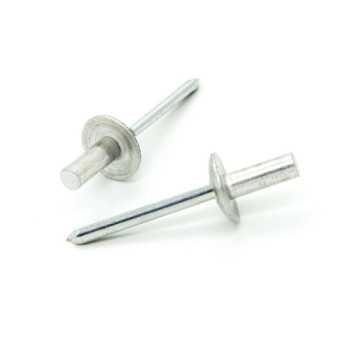 Rivetti a strappo TENUTA STAGNA Acciaio/Acciaio Testa Larga 10mm 3.2x10.0mm