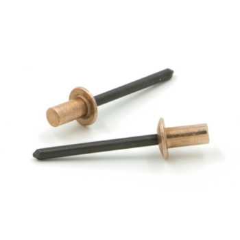 Rivetti a strappo TENUTA STAGNA Rame/Acciaio Testa Tonda 4.8x9.5mm