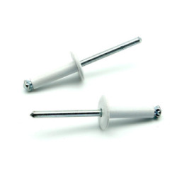 Rivetti a strappo RISTAR A FIORE Alluminio/Acciaio Testa Larga 14mm Verniciato RAL 9003 4.8x14.0mm - Box da 250 pezzi